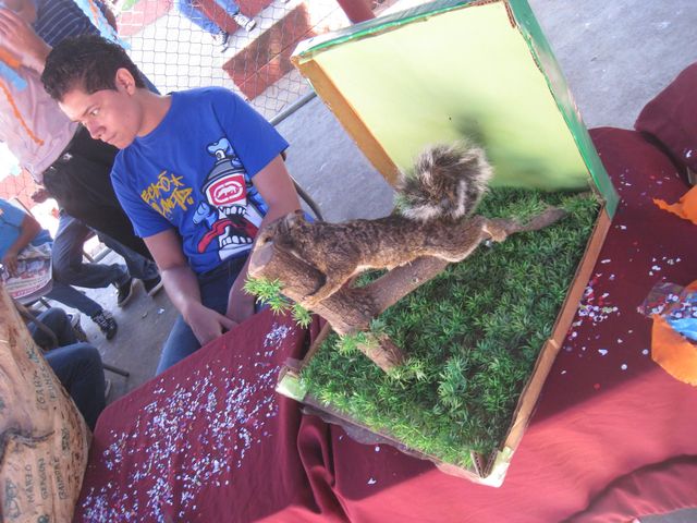 Feria de Logros 2013